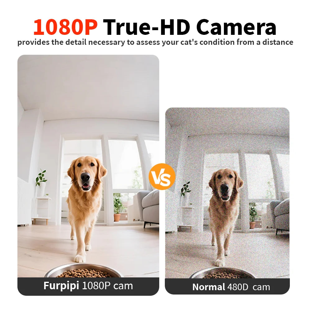 WizePet 8L Smart Automatic Pet Feeder with HD Camera & Wi-Fi App Control