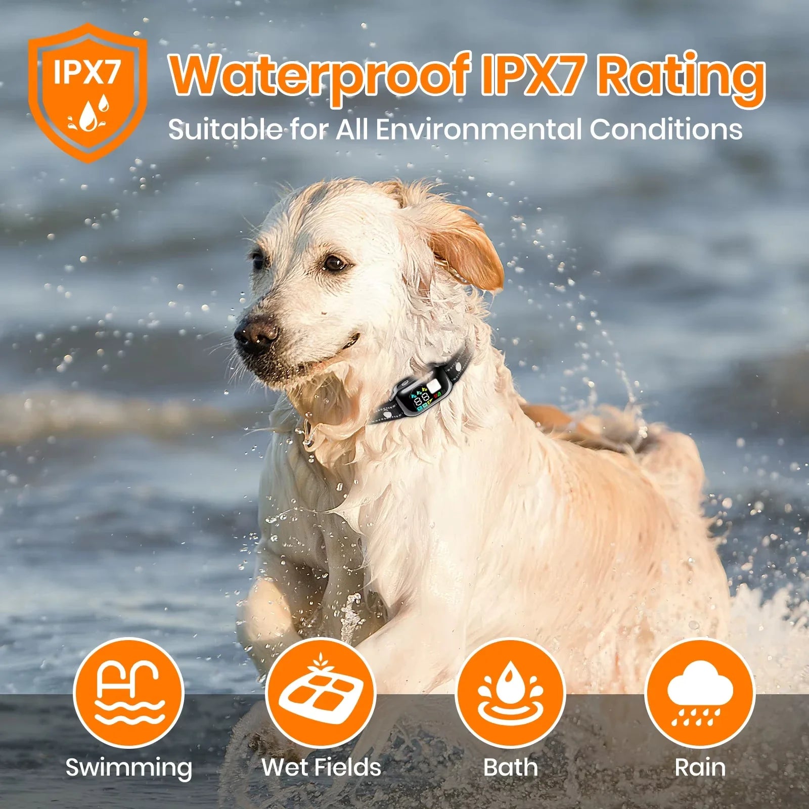 WizePet Smart Training Collar