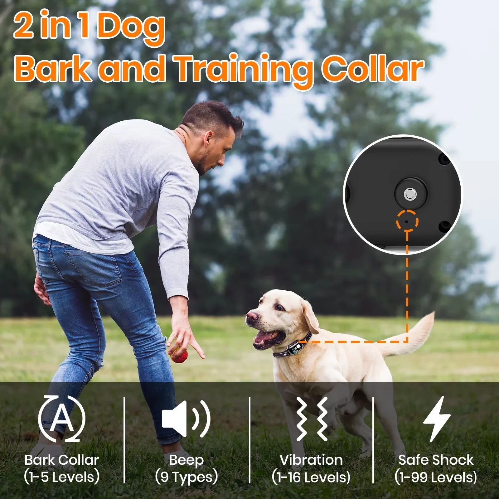 WizePet Smart Training Collar