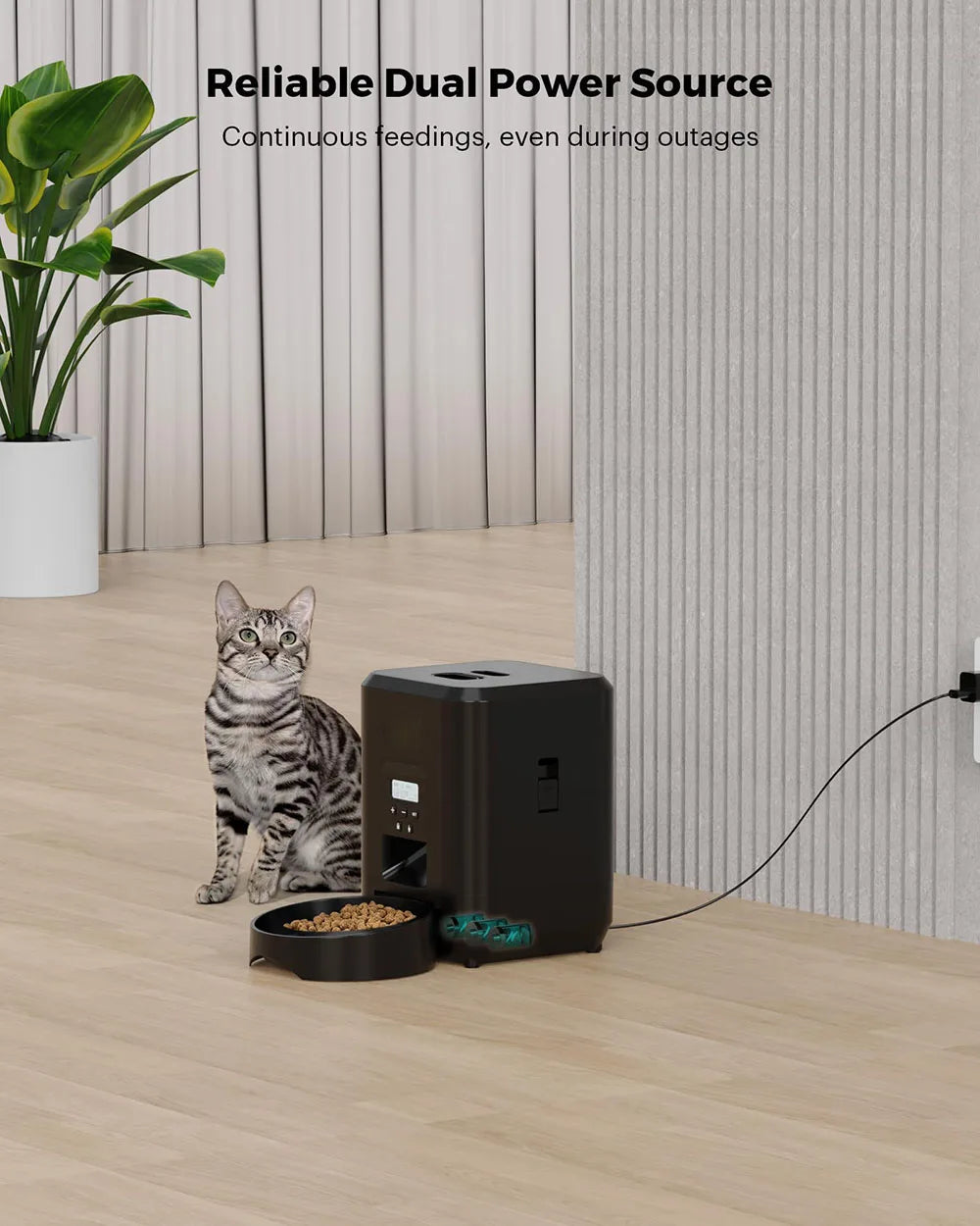 WizePet Automatic Pet Feeder with Timer & LCD Display – Portion Control Pet Food Dispenser for Cats & Small Dogs