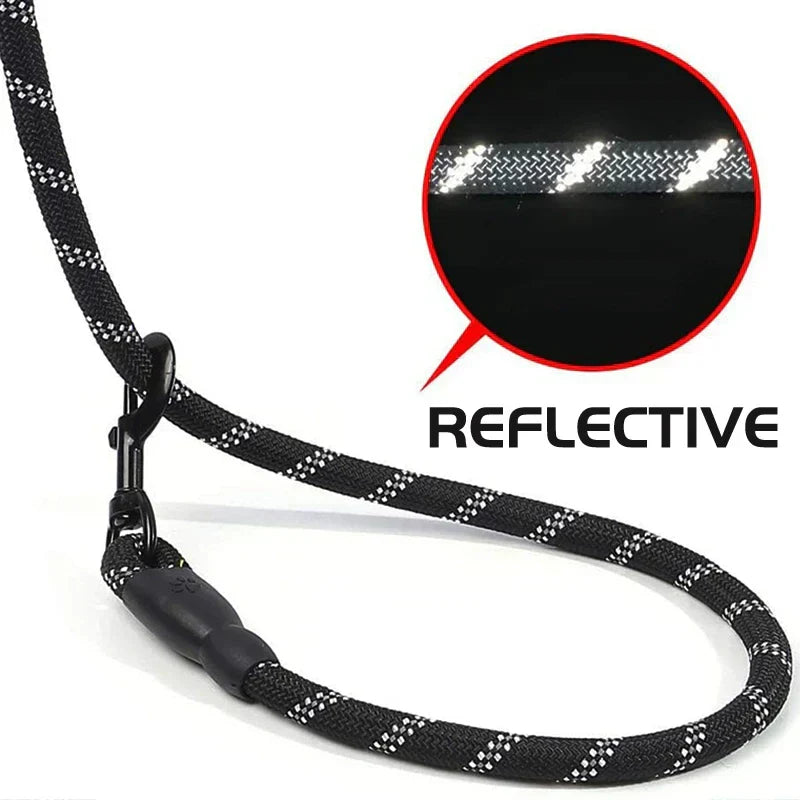 WizePet Reflective Dog Leash