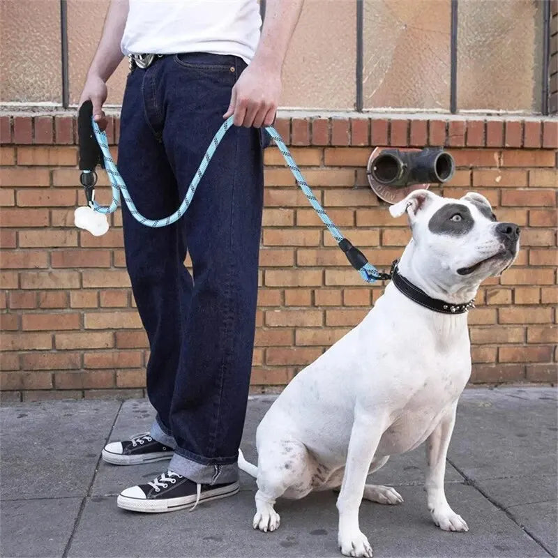 WizePet Reflective Dog Leash