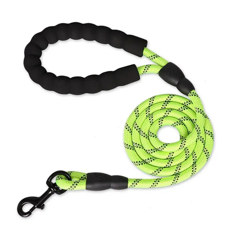 WizePet Reflective Dog Leash