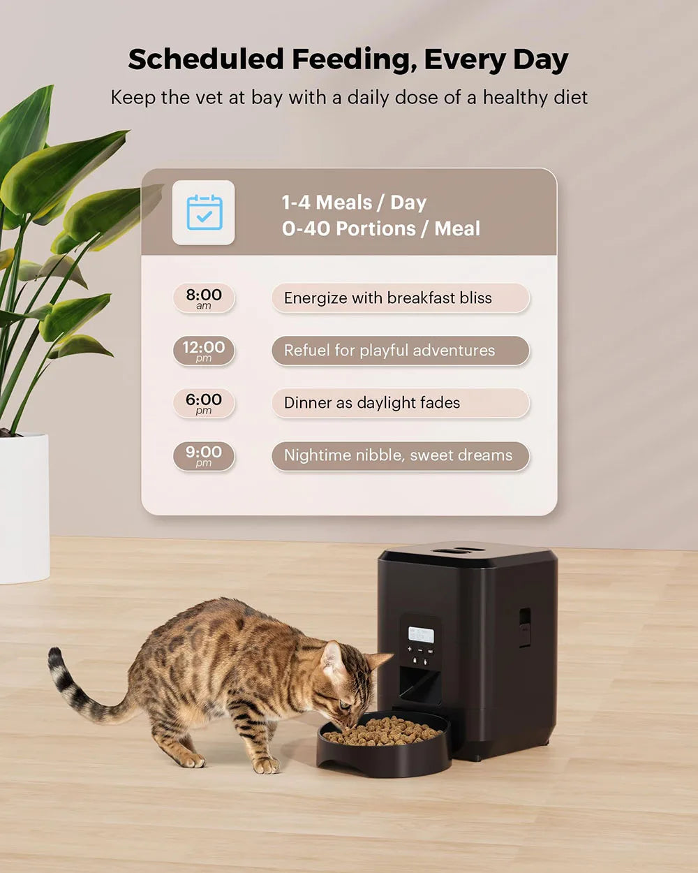 WizePet Automatic Pet Feeder with Timer & LCD Display – Portion Control Pet Food Dispenser for Cats & Small Dogs