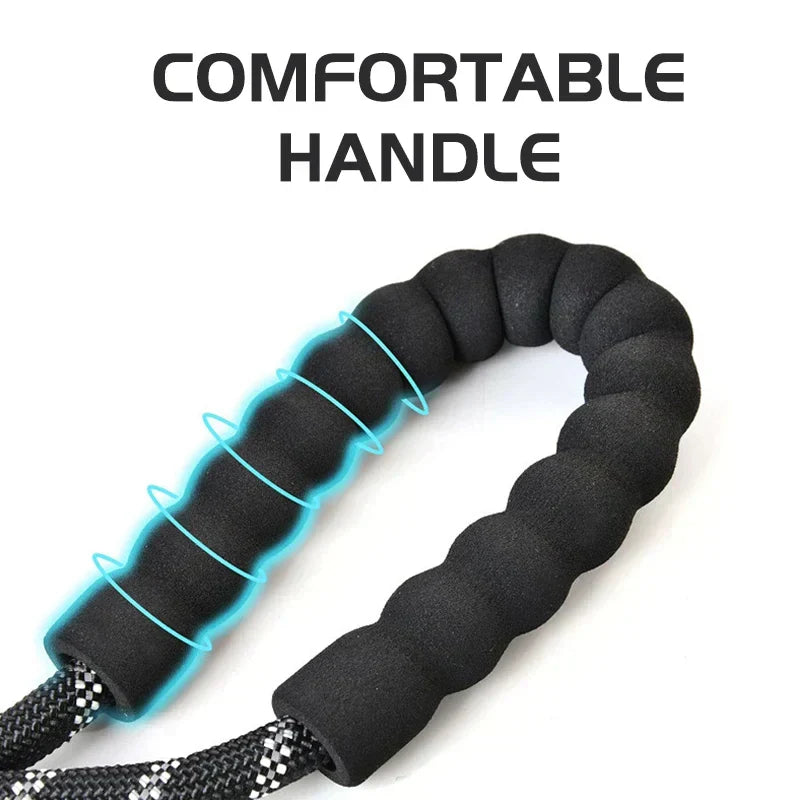WizePet Reflective Dog Leash