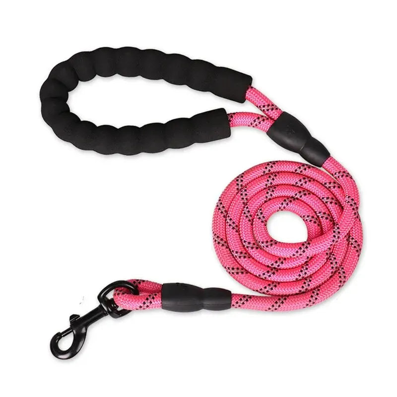 WizePet Reflective Dog Leash
