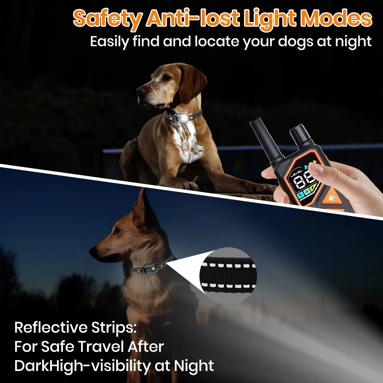 WizePet Smart Training Collar