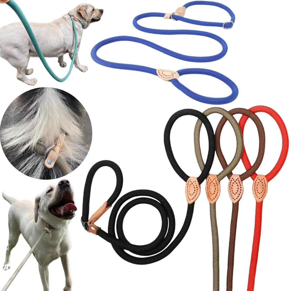 WizePet Heavy Duty Braided Slip Rope Dog Leash | Adjustable Training Lead & Collar for Medium Large Dogs