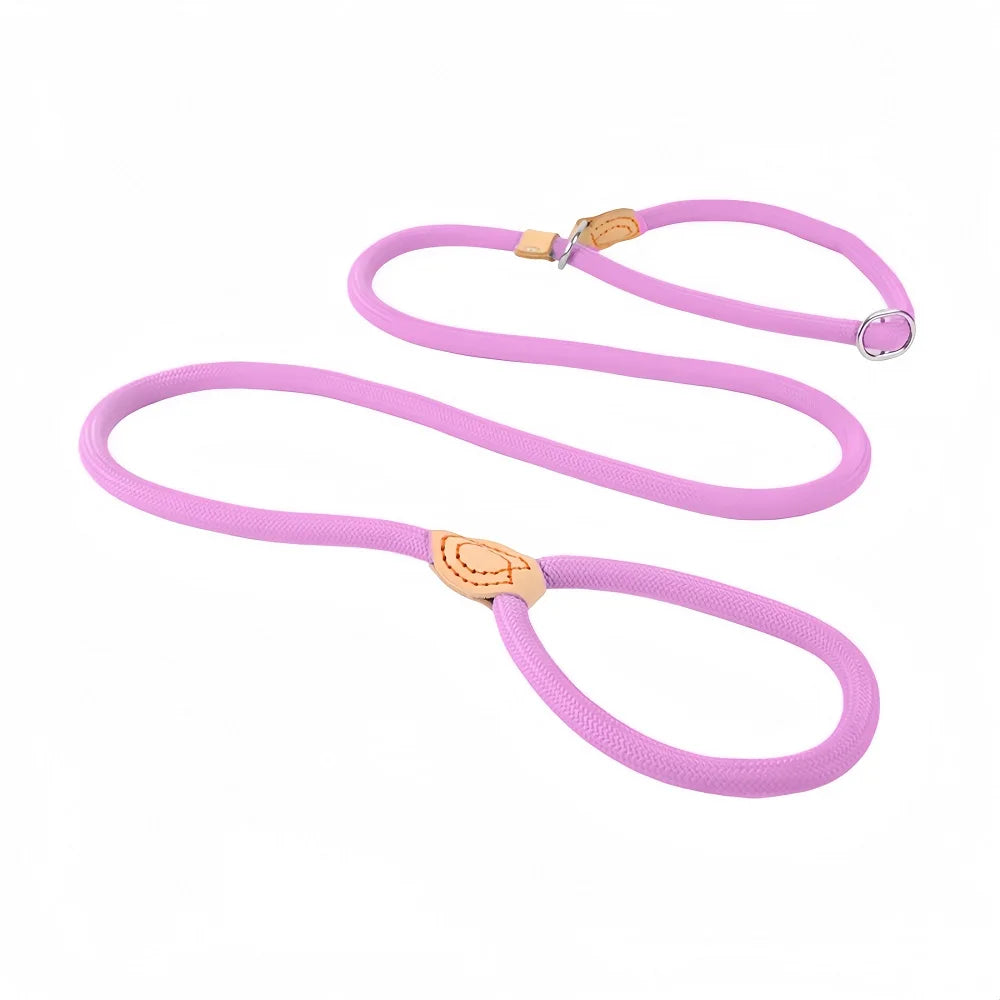 WizePet Heavy Duty Braided Slip Rope Dog Leash | Adjustable Training Lead & Collar for Medium Large Dogs