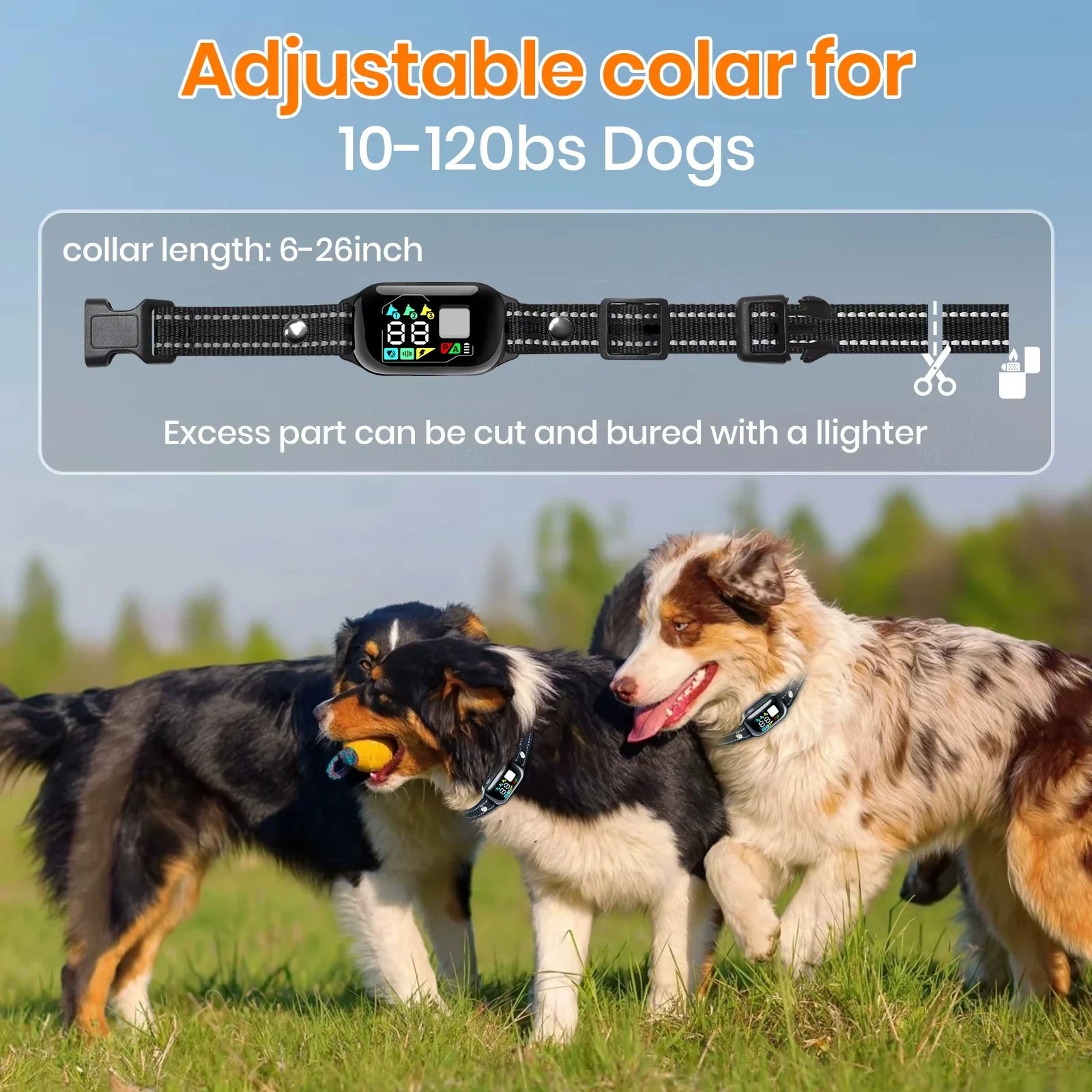 WizePet Smart Training Collar