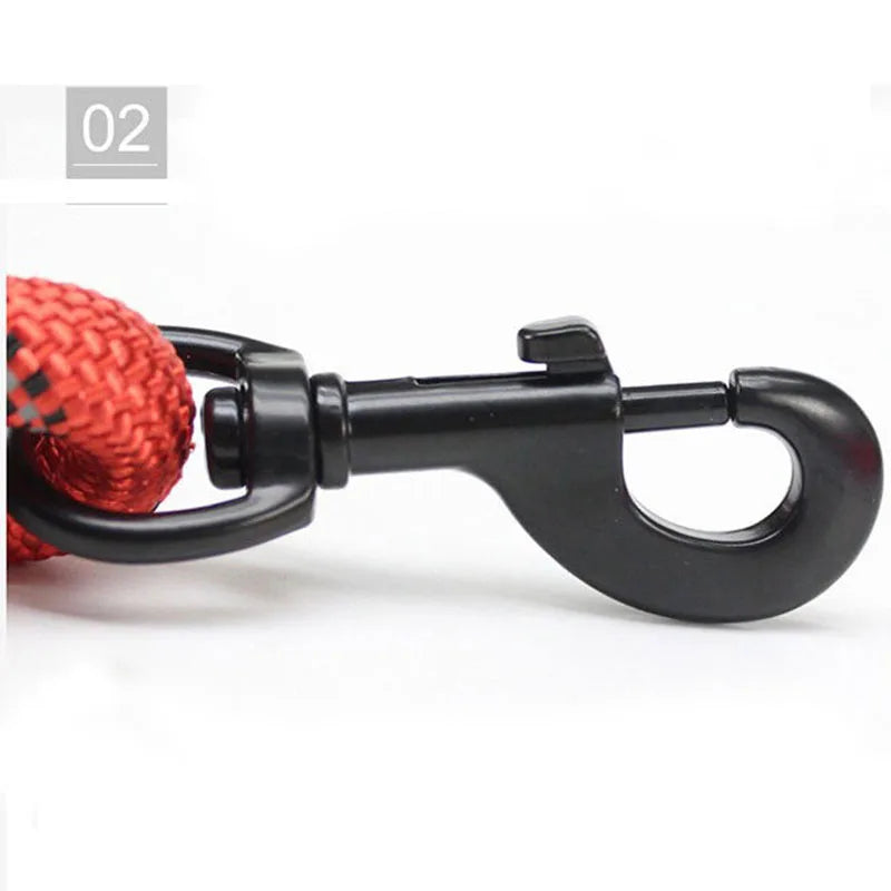 WizePet Reflective Dog Leash