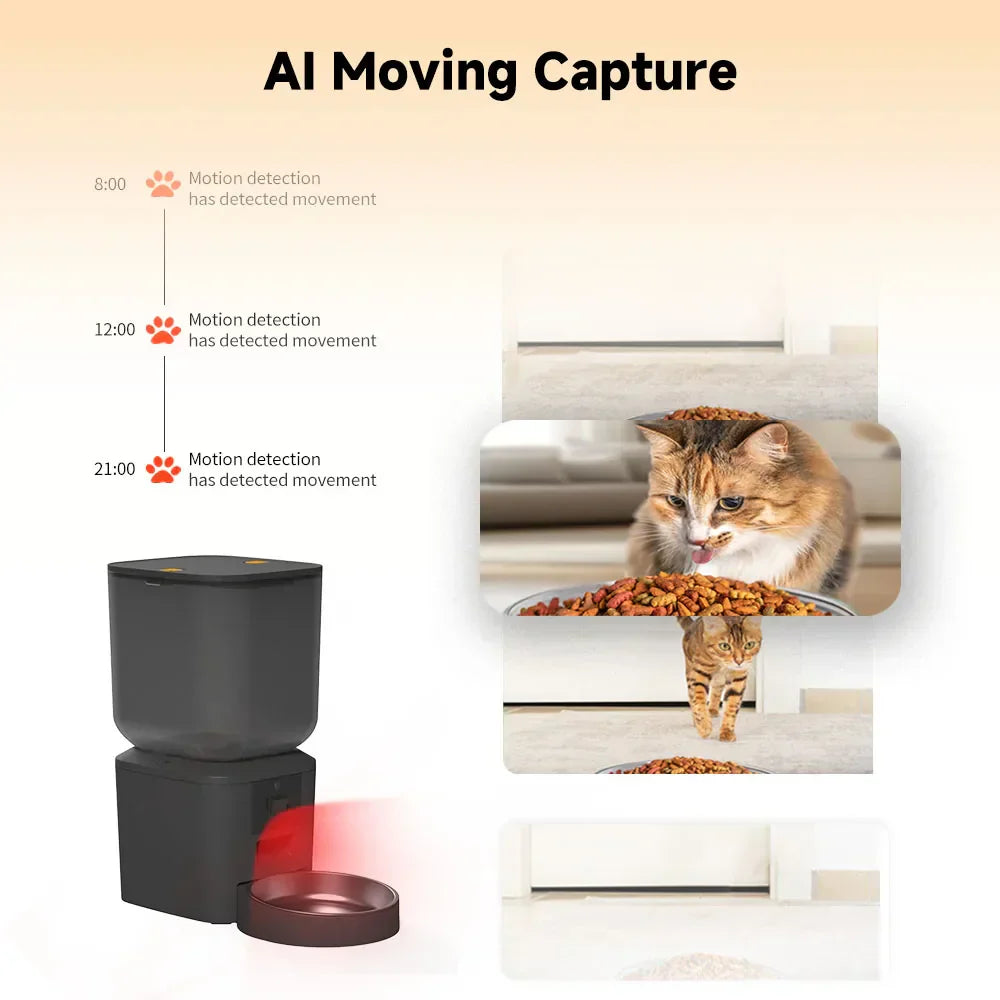 WizePet 8L Smart Automatic Pet Feeder