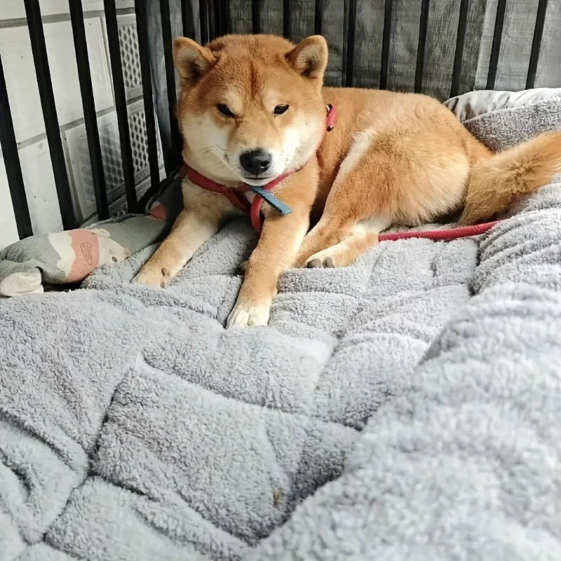 WizePet Plush Pet Bed