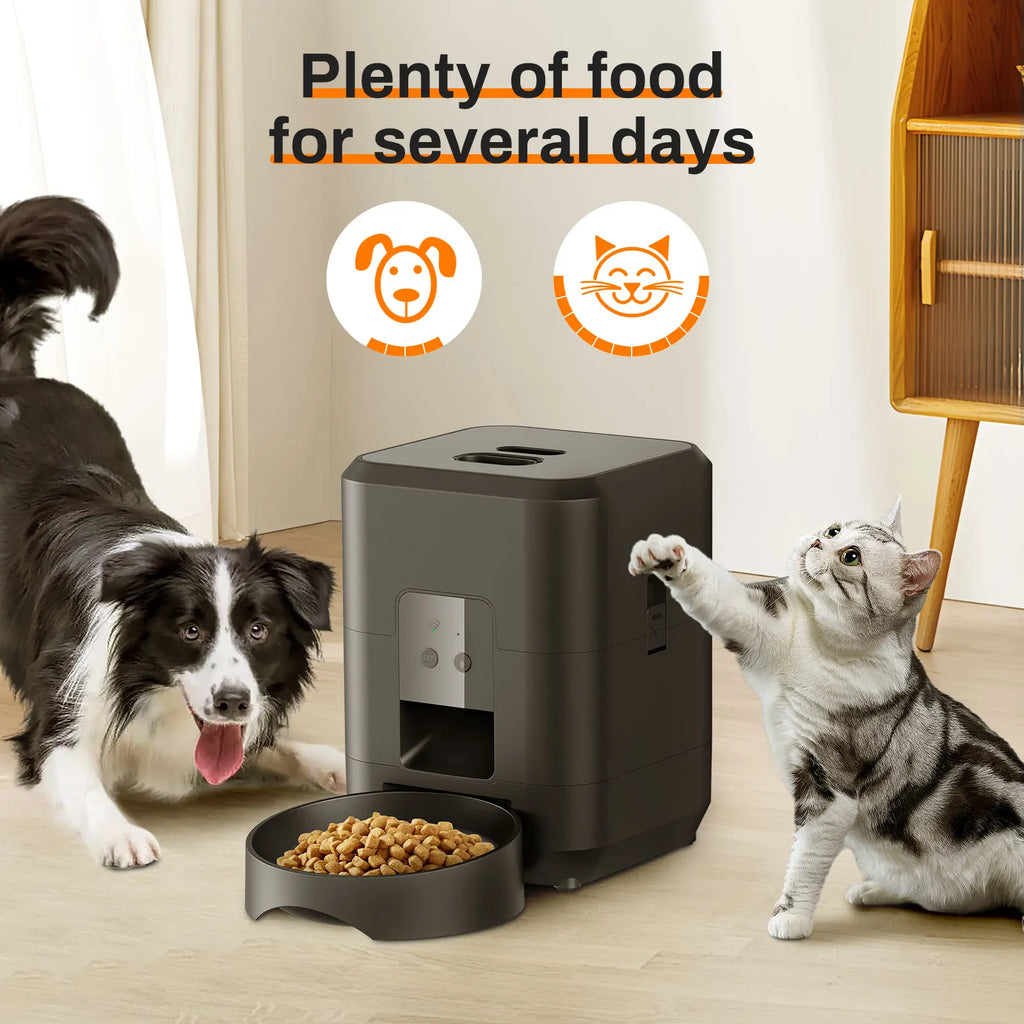 WizePet Automatic Pet Feeder with Timer & LCD Display – Portion Control Pet Food Dispenser for Cats & Small Dogs