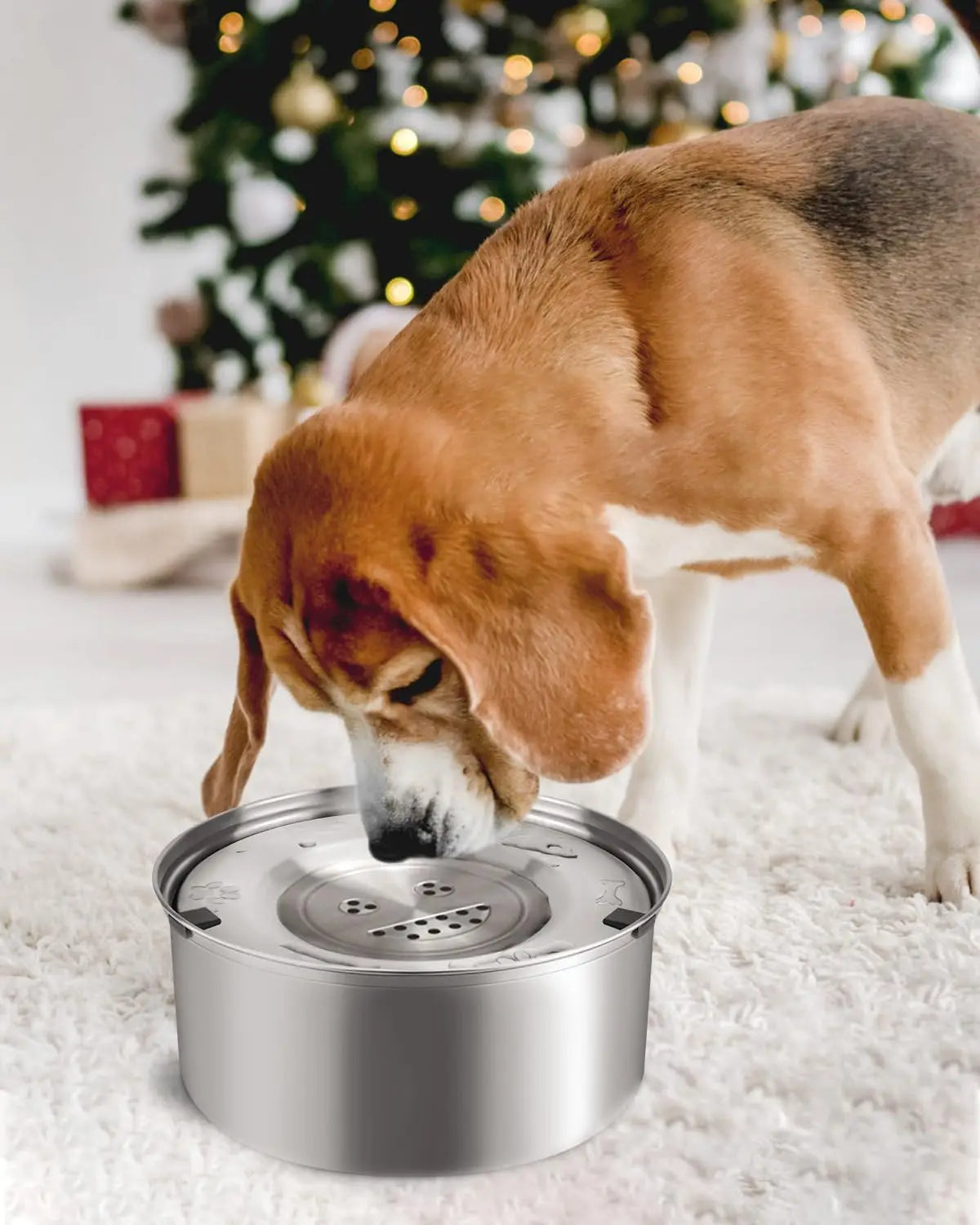 WizePet 1L Stainless Steel No-Spill Dog Water Bowl
