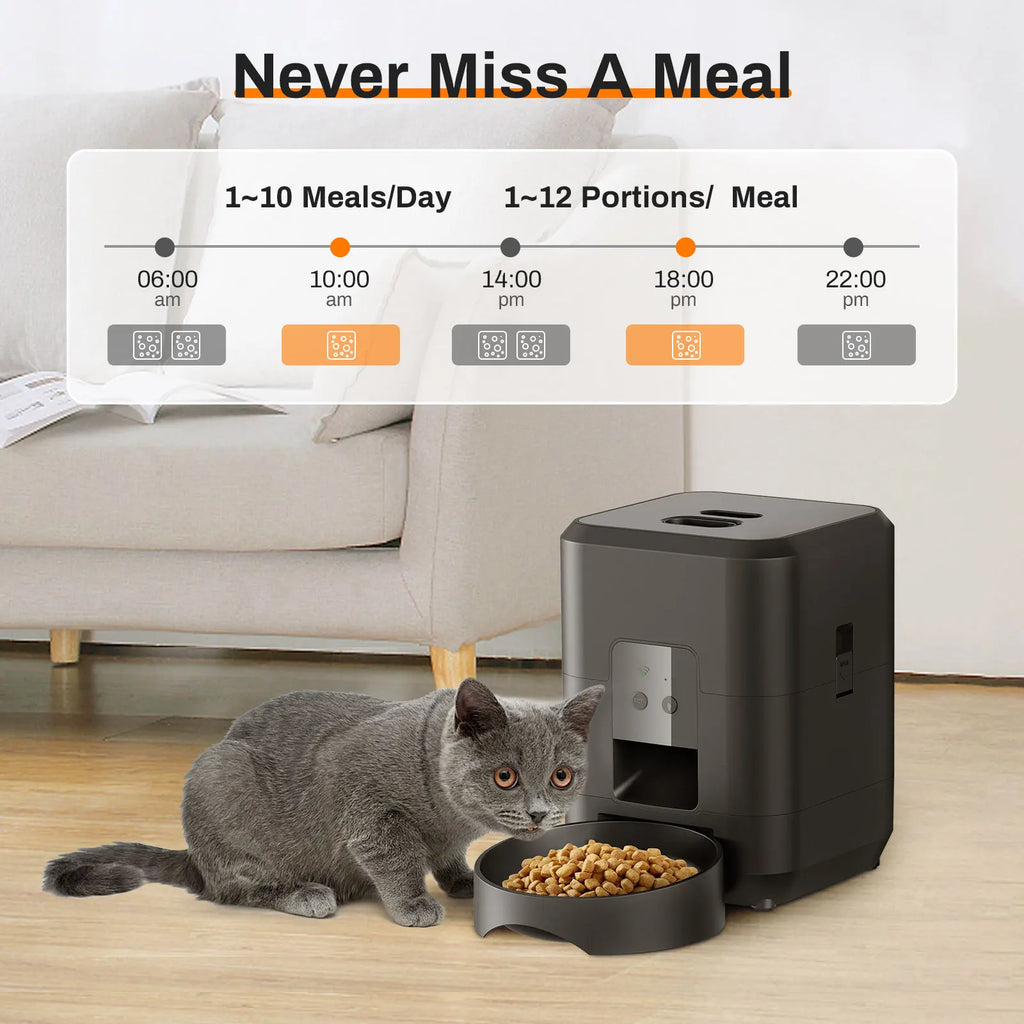 WizePet Automatic Pet Feeder with Timer & LCD Display – Portion Control Pet Food Dispenser for Cats & Small Dogs