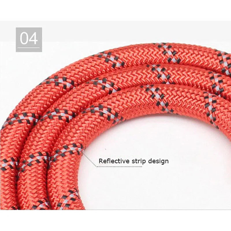 WizePet Reflective Dog Leash