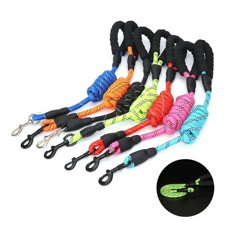 WizePet Reflective Dog Leash