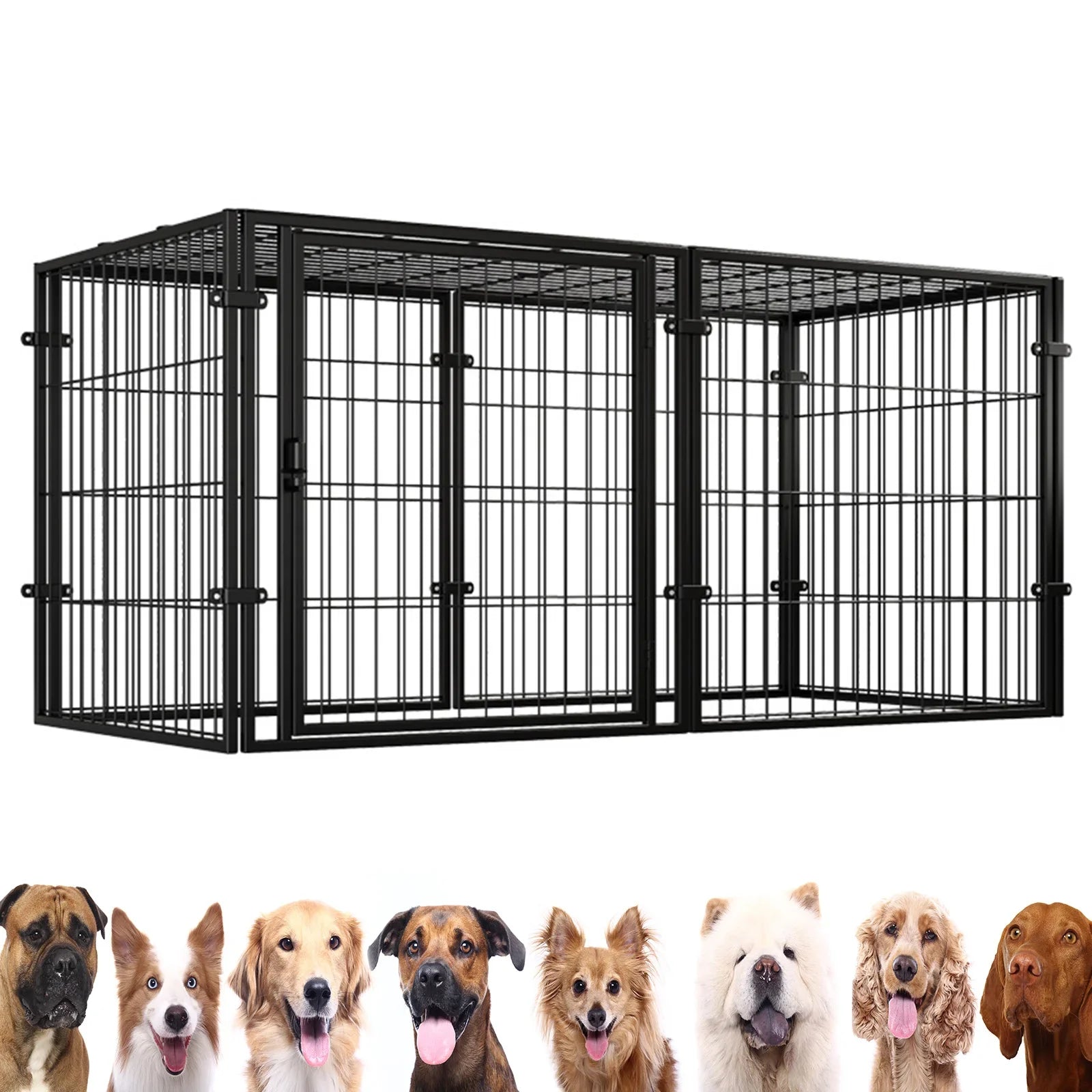 WizePet 48-Inch Heavy-Duty Wire Dog Crate | Easy Assembly Pet Kennel Cage