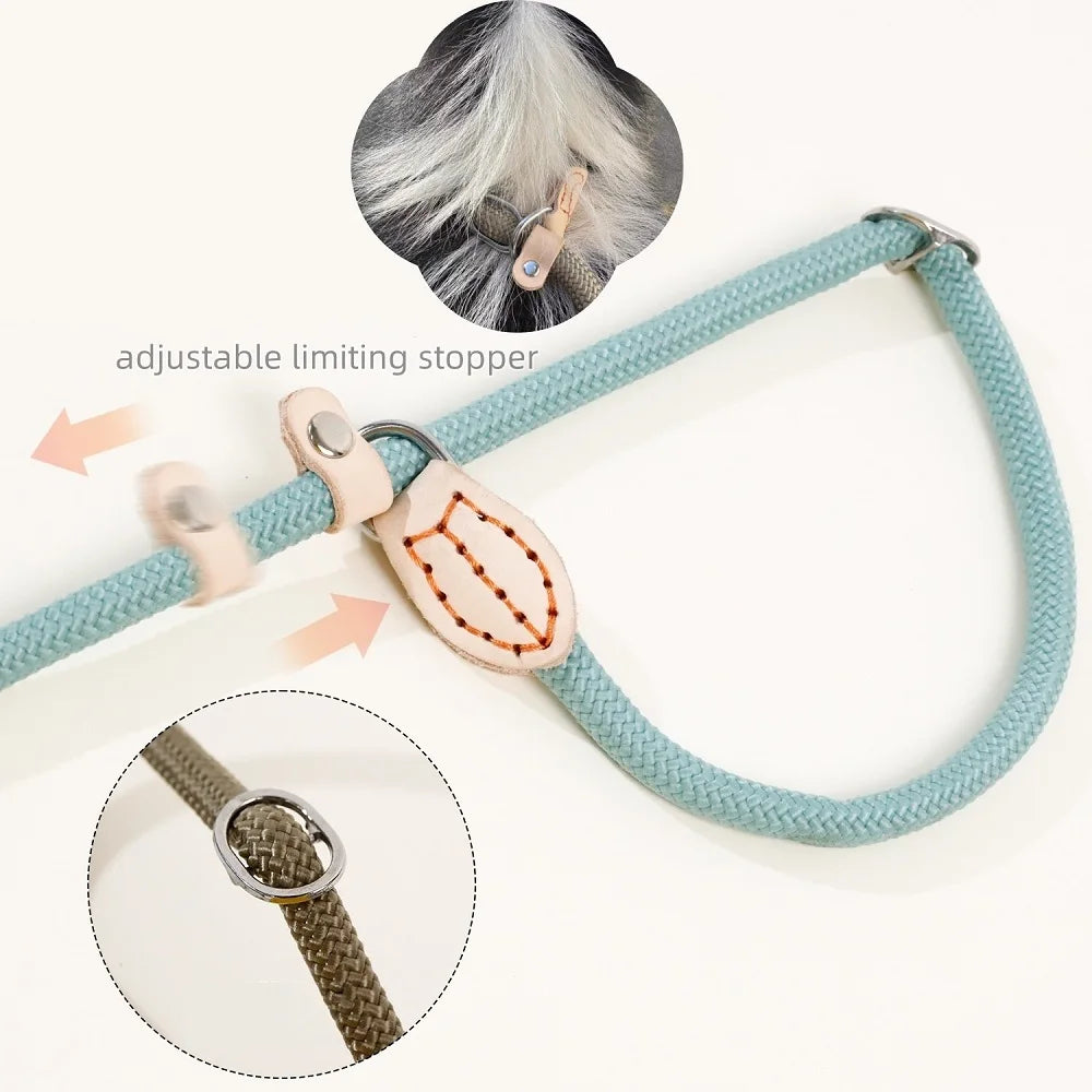 WizePet Heavy Duty Braided Slip Rope Dog Leash | Adjustable Training Lead & Collar for Medium Large Dogs