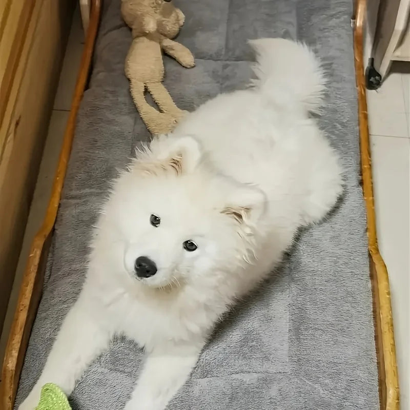 WizePet Plush Pet Bed