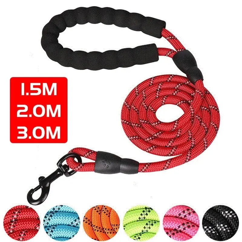 WizePet Reflective Dog Leash
