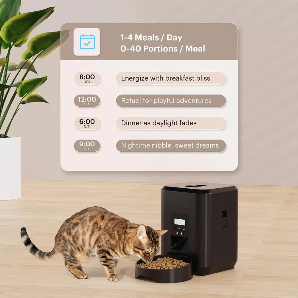 WizePet Automatic Pet Feeder with Timer & LCD Display – Portion Control Pet Food Dispenser for Cats & Small Dogs