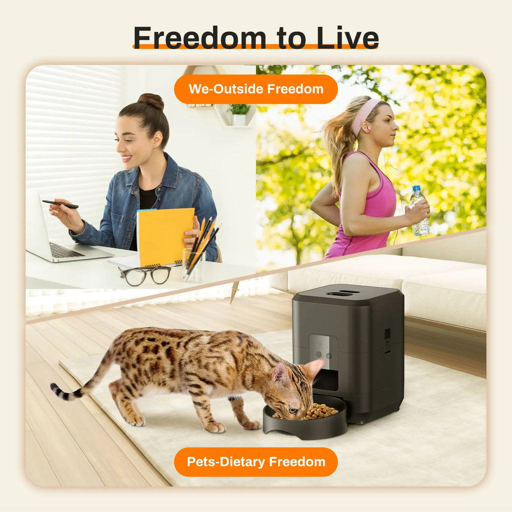 WizePet Automatic Pet Feeder with Timer & LCD Display – Portion Control Pet Food Dispenser for Cats & Small Dogs