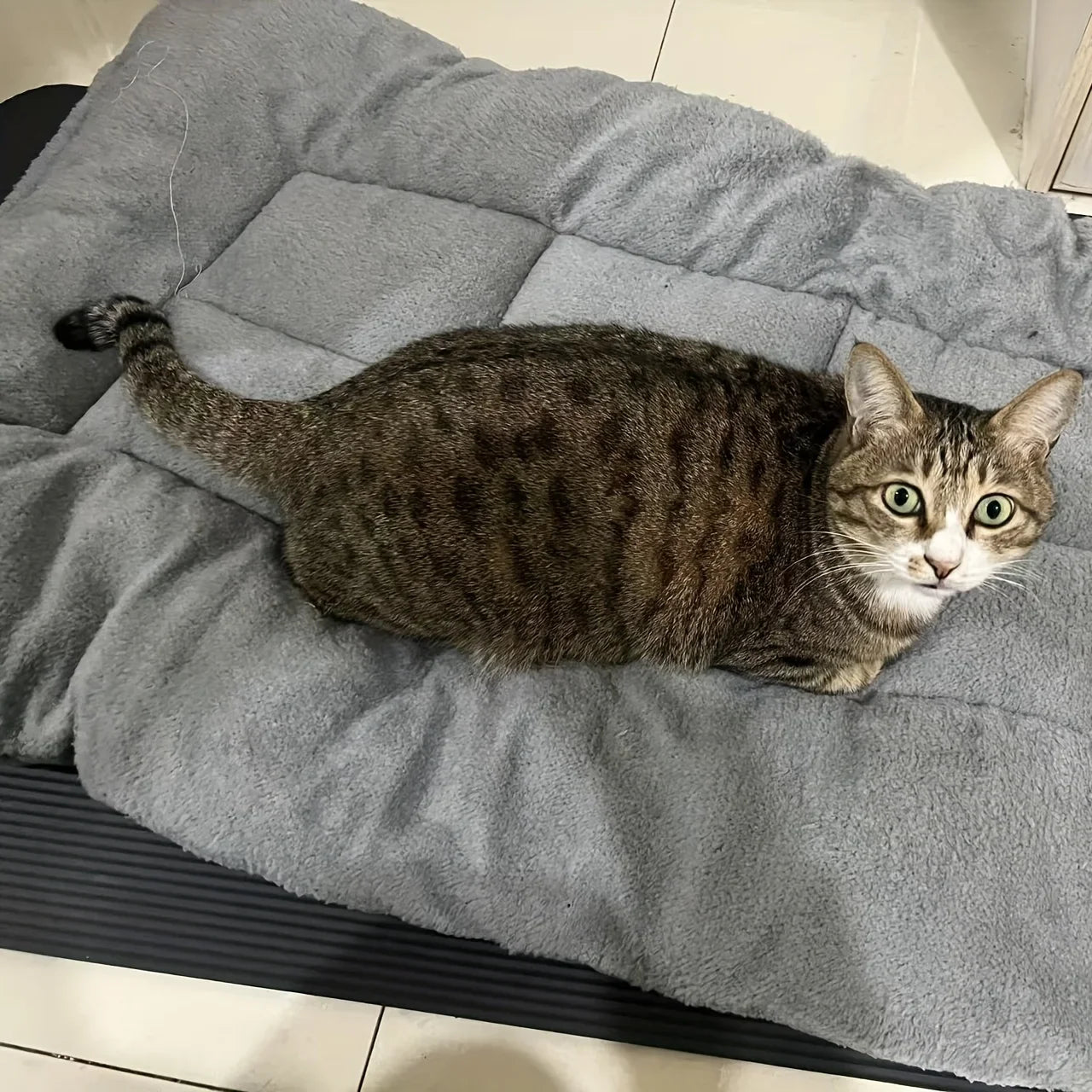 WizePet Plush Pet Bed
