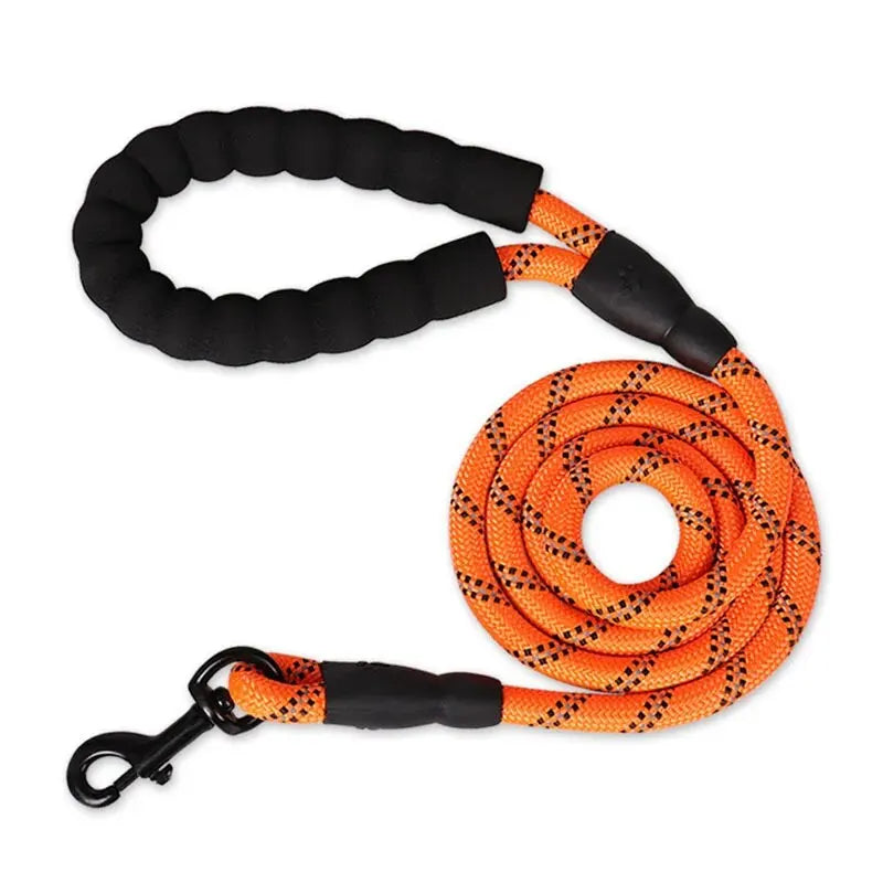 WizePet Reflective Dog Leash